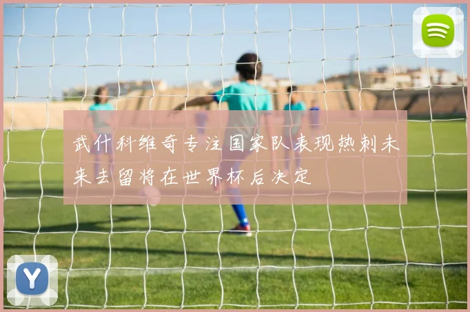 武什科维奇专注国家队表现热刺未来去留将在世界杯后决定