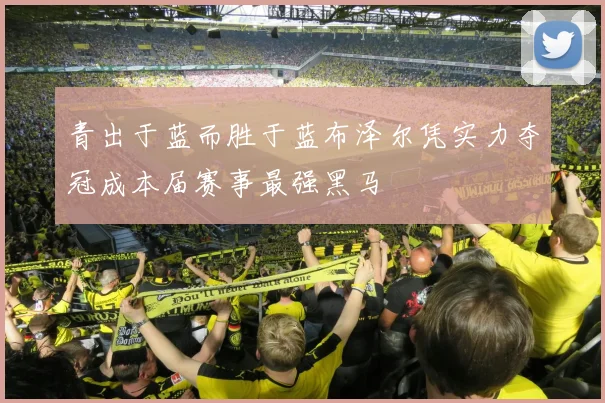 青出于蓝而胜于蓝布泽尔凭实力夺冠成本届赛事最强黑马