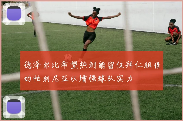 德泽尔比希望热刺能留住拜仁租借的帕利尼亚以增强球队实力